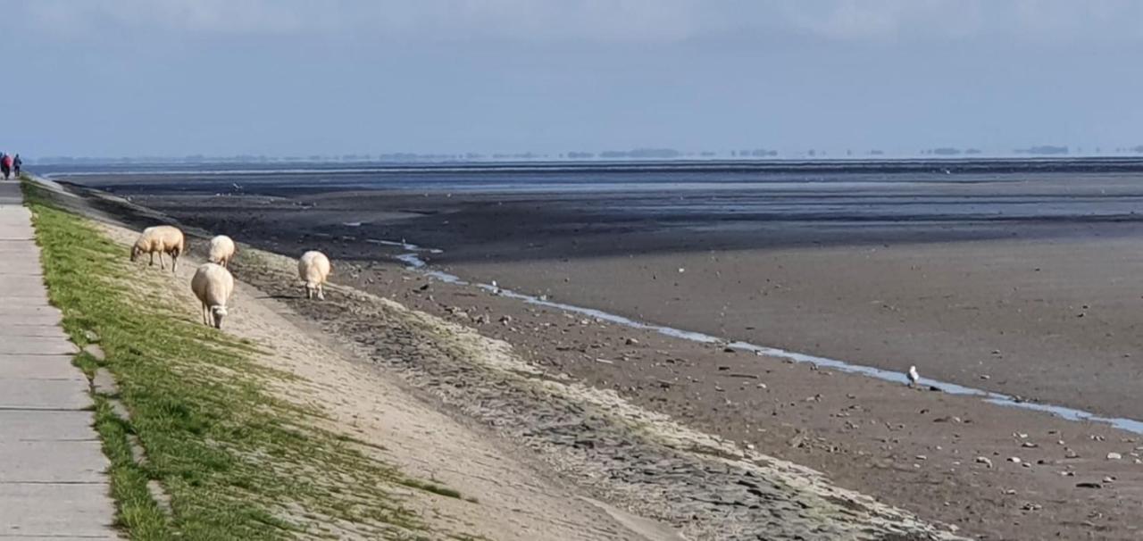 Fewo Mit Meerblick - Direktzugang Zur Nordsee Apartman Wilhelmshaven Kültér fotó